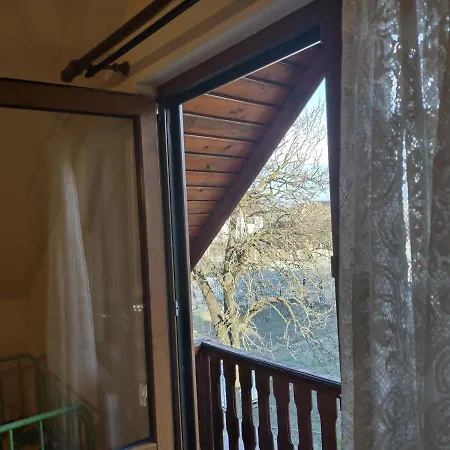 Pensiunea Ghita Vasile Gasthof Vadu Izei