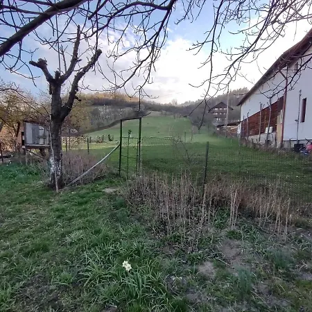 Pensiunea Ghita Vasile Gasthof Vadu Izei