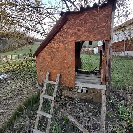 Pensiunea Ghita Vasile Gasthof Vadu Izei