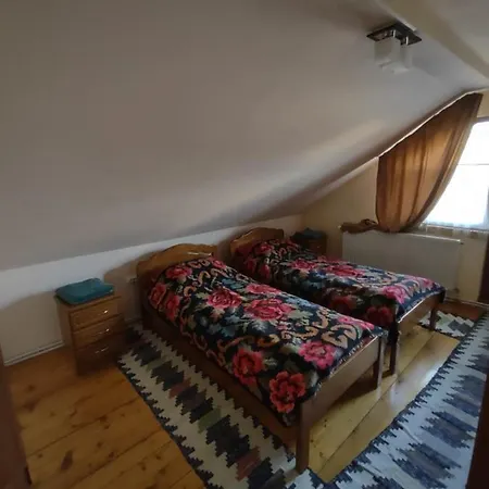 Gasthof Pensiunea Ghita Vasile Vadu Izei