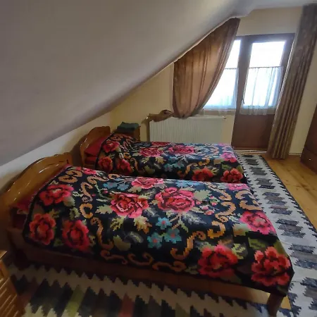 Gasthof Pensiunea Ghita Vasile Vadu Izei