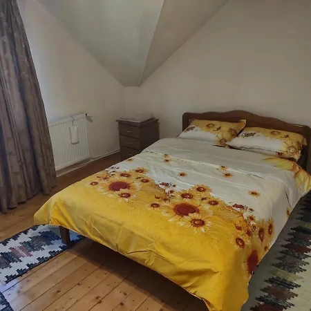 Gasthof Pensiunea Ghita Vasile Vadu Izei