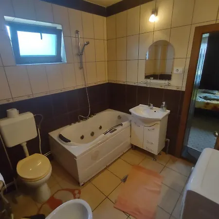 Pensiunea Ghita Vasile * Vadu Izei