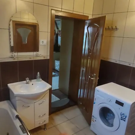 Gasthof Pensiunea Ghita Vasile Vadu Izei